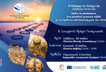 Digital Invitation ΠΡΟΣΚΛΗΣΗ ΓΕΥΣΙΓΝΩΣΙΑ ΑΡΤΑ ΙΩΑΝΝΙΝΑ ΠΡΕΒΕΖΑ