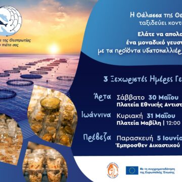 Digital Invitation ΠΡΟΣΚΛΗΣΗ ΓΕΥΣΙΓΝΩΣΙΑ ΑΡΤΑ ΙΩΑΝΝΙΝΑ ΠΡΕΒΕΖΑ