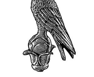logopanepistimioioanninon300 6