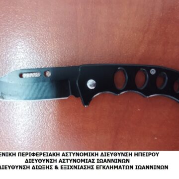 ΛΗΣΤΕΙΑ ΙΩΑΝΝΙΝΑ