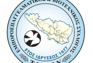 2078 ΑΡΤΑ ΑΜΦΙΛΟΧΙΑ 1 1