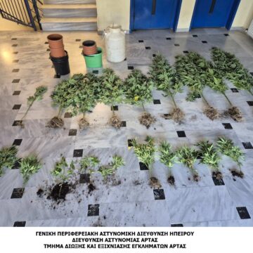 ΝΑΡΚΩΤΙΚΑ ΑΡΤΑ